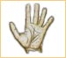 Palmistry Report